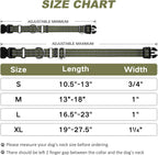 Martingale collar hardware detail for dog safety