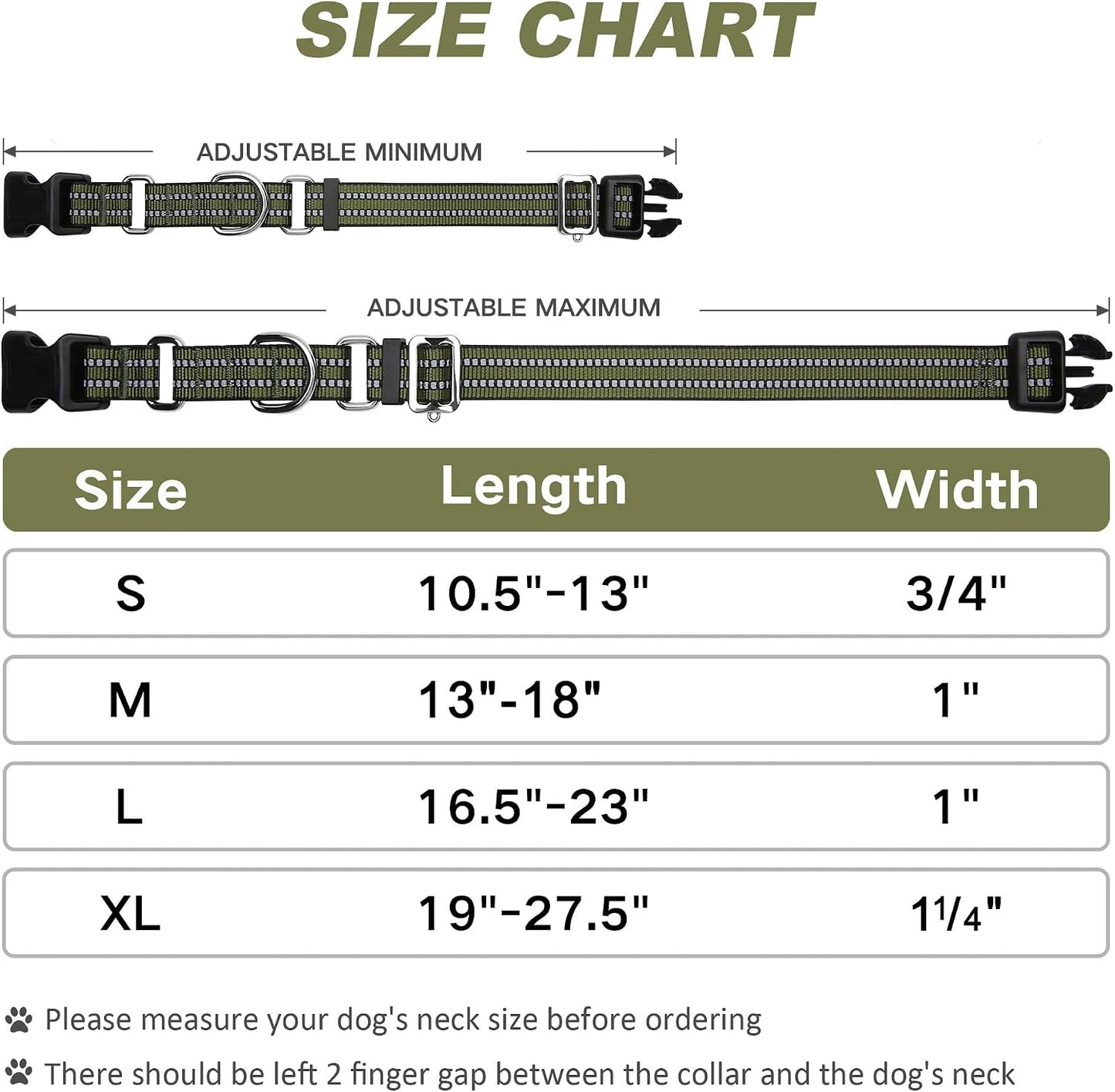 Martingale collar hardware detail for dog safety