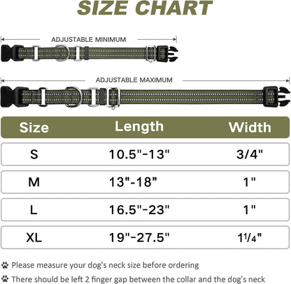 Martingale collar hardware detail for dog safety