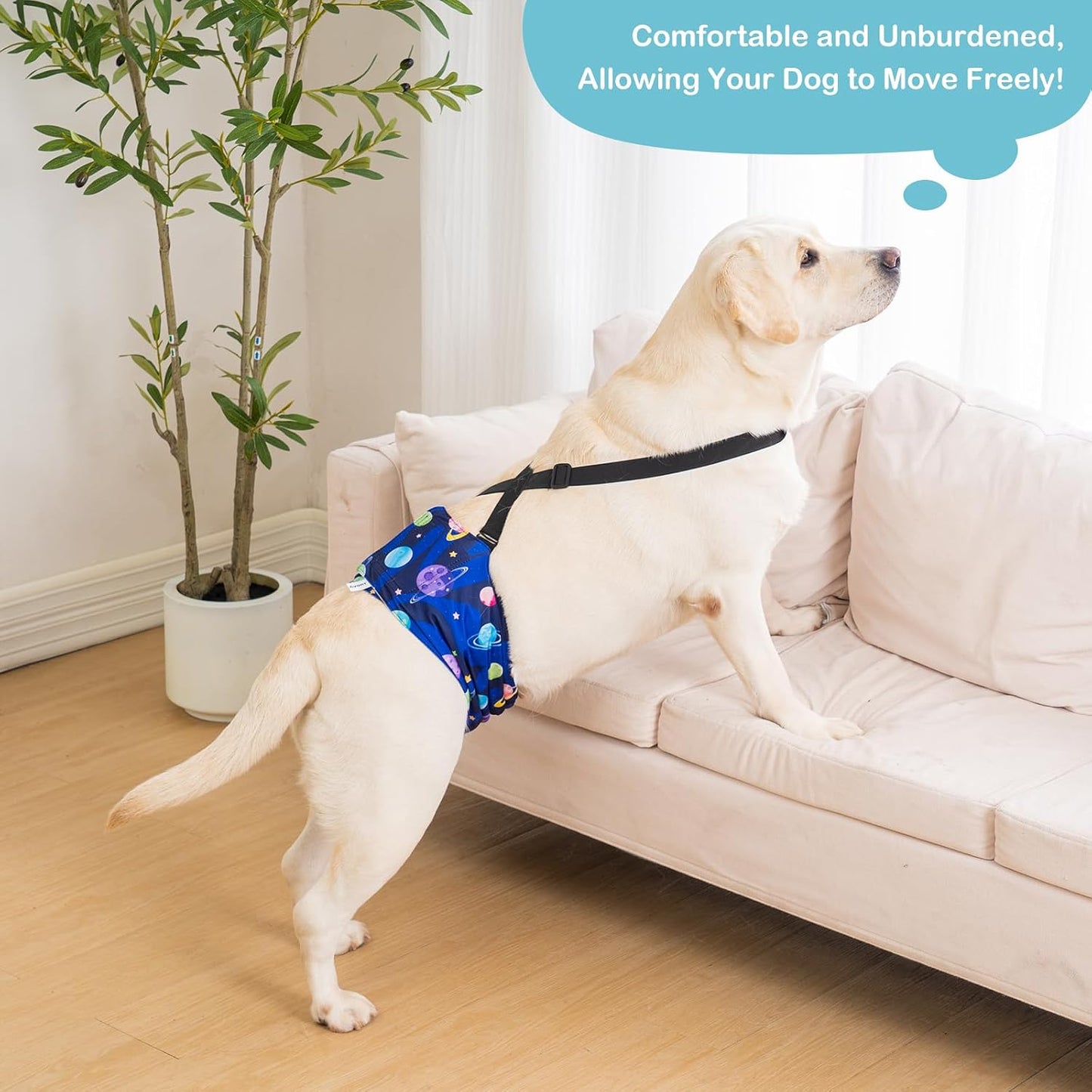Avont washable male dog diapers close up of absorbent padding