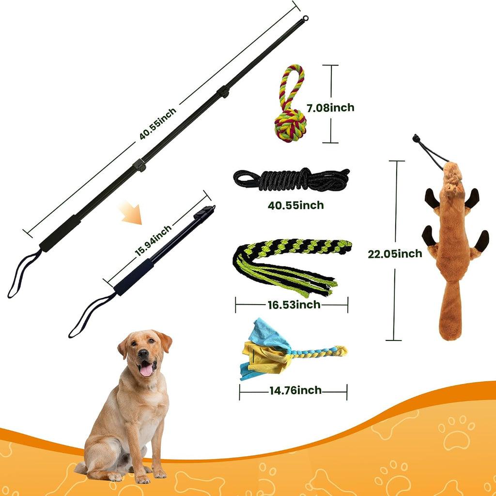 Extendable dog fishing pole toy with plush squeaky squirrel lure attachment