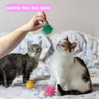 Full set of 40 cat toys including springs and bells