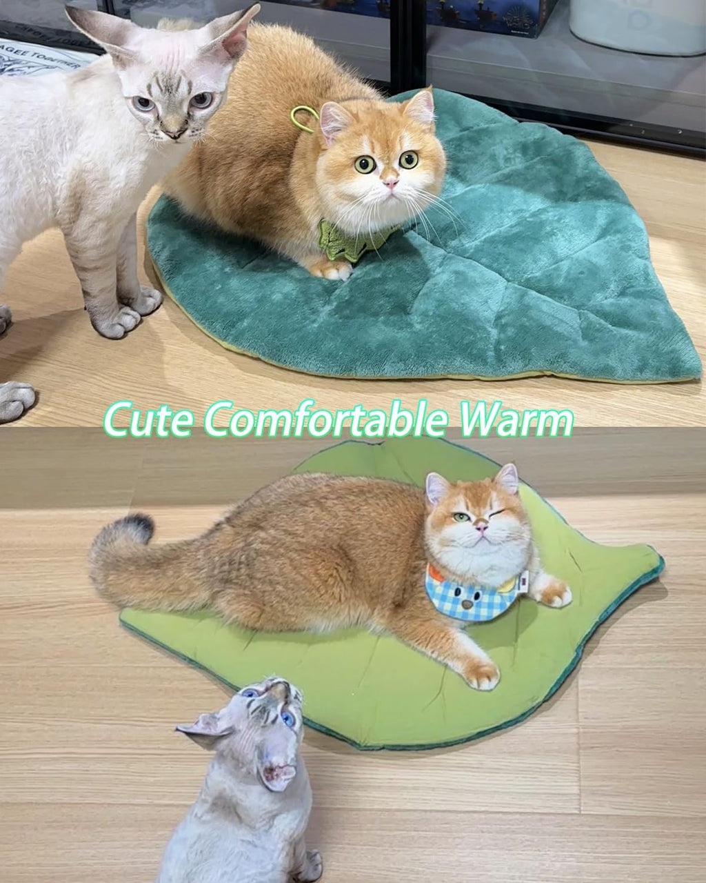 Thermal self heating cat blanket on hardwood floor surface