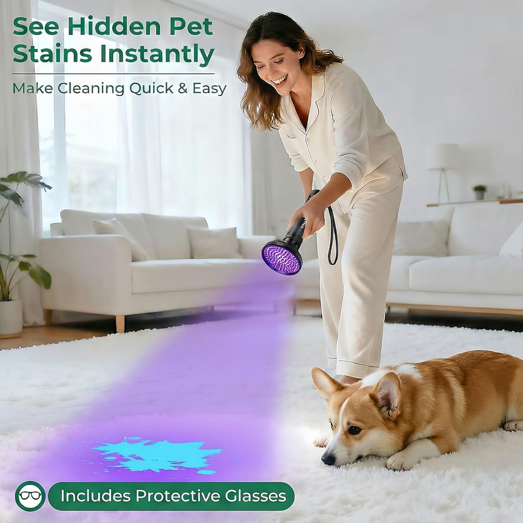 Escolite ultraviolet pet urine detector illuminating dry stains on a living room carpet.