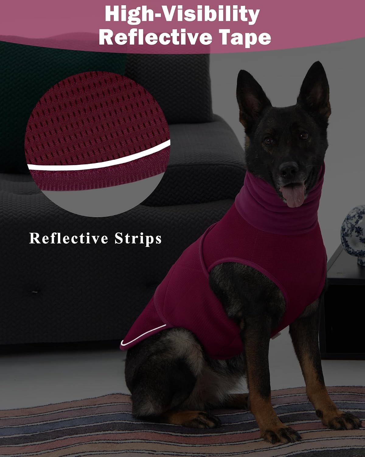 Quiet fabric fastener detail for sensitive dogs