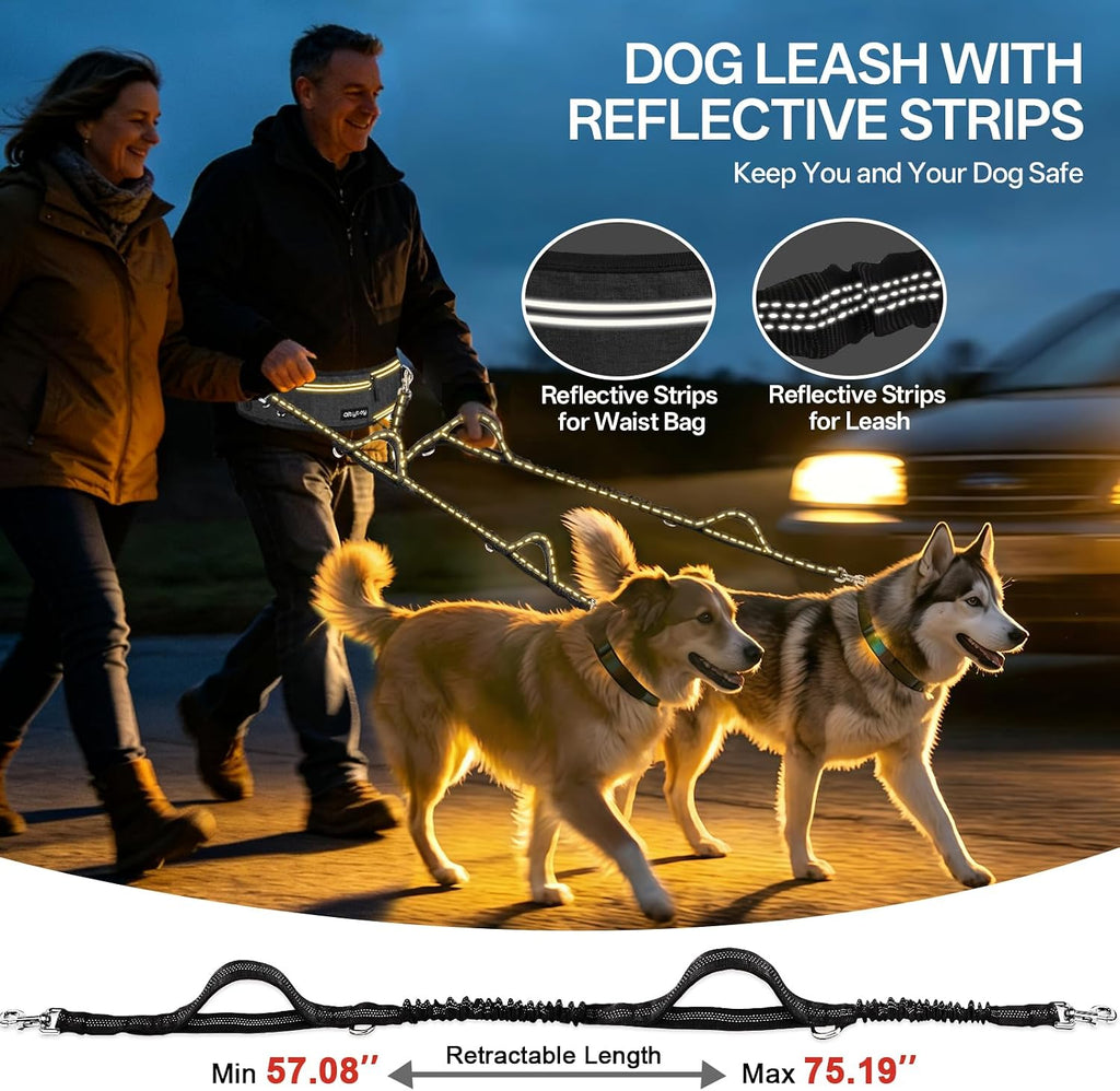 Qltytoy double pet lead package contents detailing the adjustable belt, partitioned pouch, and dual bungee extensions.