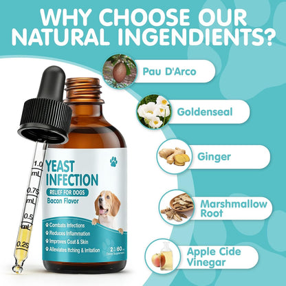 Armoya dog ear infection and itchy skin relief liquid drops close up