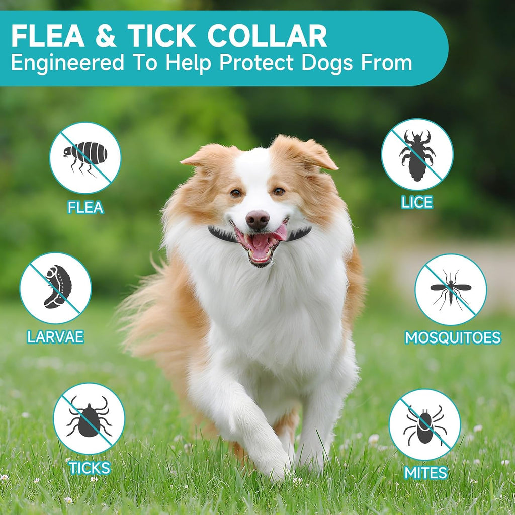 Vicsom dog flea collar packaging showing 32 month duration