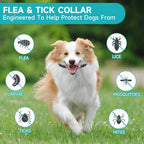 Vicsom dog flea collar packaging showing 32 month duration