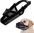 Crazy Felix Nylon Dog Muzzle front view on a medium breed dog