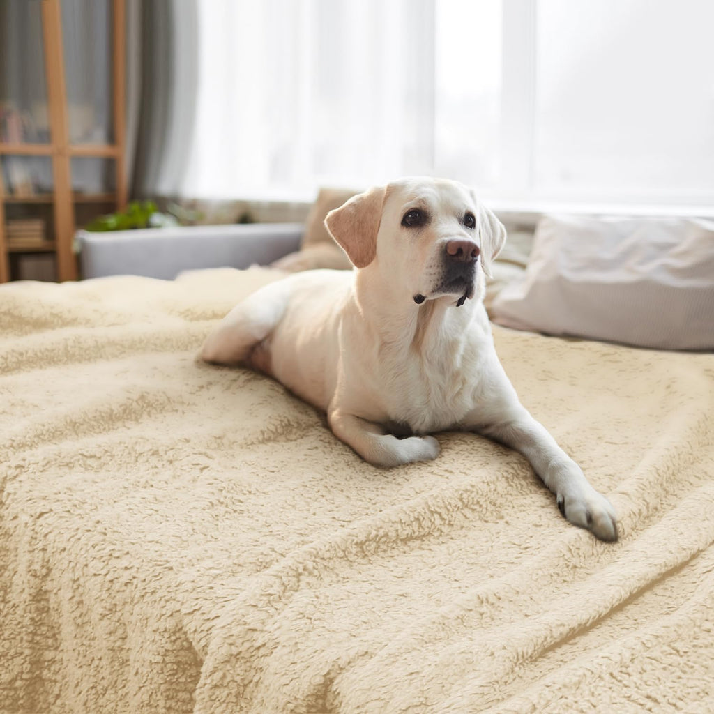 furrybaby Dog Blankets for Small Dogs, Puppy Small Fleece Blankets for Pets, Premium Cat Blanket, Sherpa Pet Blanket Washable for Pet Kitten Doggy (Grey, 24x32 in, S) - Image 14