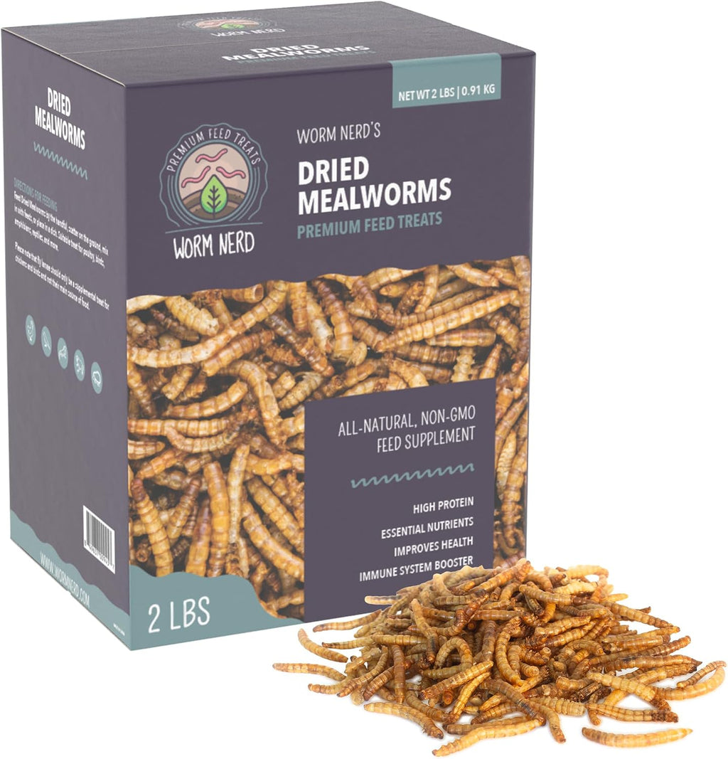 Natural non-GMO mealworm treats for chickens and birds in a bowl