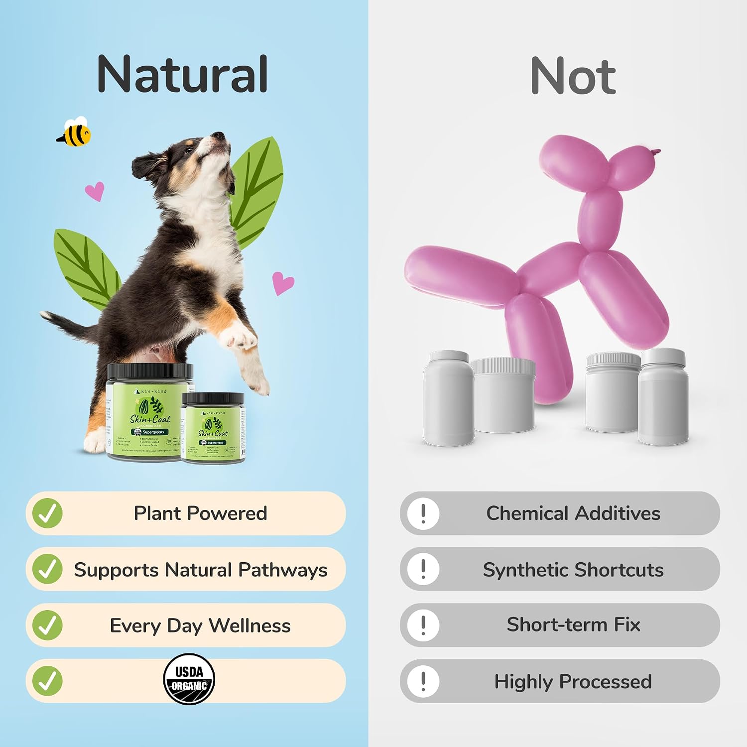 Cat eating food with Kin+Kind supergreens supplement