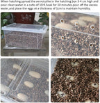 Hamiledyi natural mineral soil for tortoise and snake habitat
