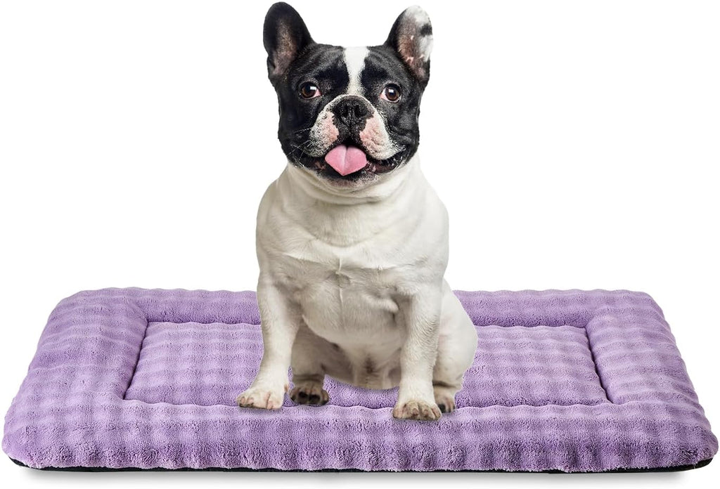 Yaning premium imported pet crate pad being machine washed easily