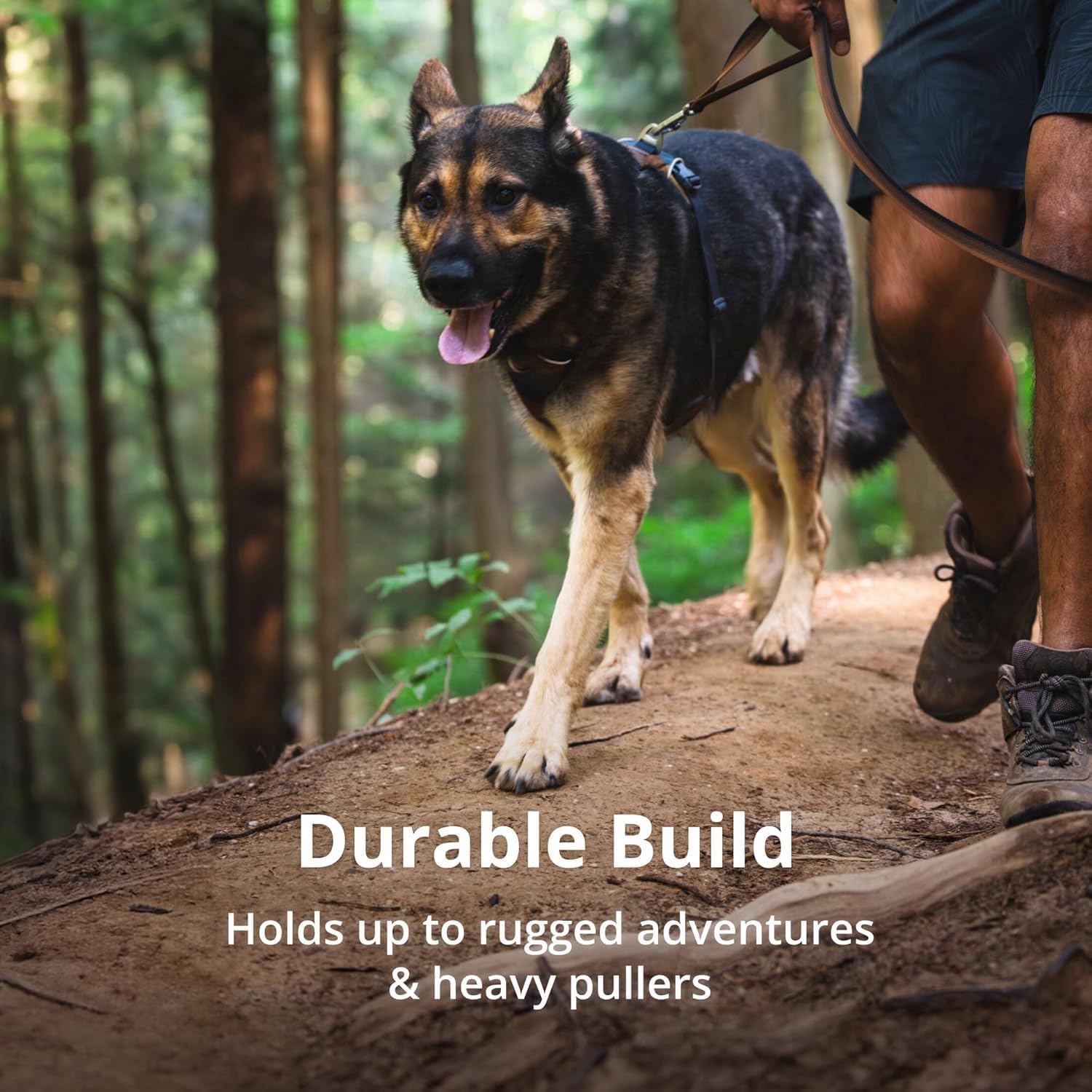 Ruffwear Medium size harness flat lay on neutral background