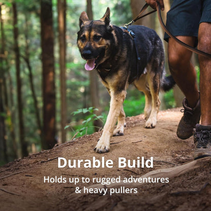 Ruffwear Medium size harness flat lay on neutral background