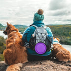Large dog eating from a expanded purple portable silicone dish