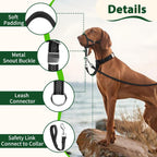 Barkless green padded head collar packaging and included instruction manual view