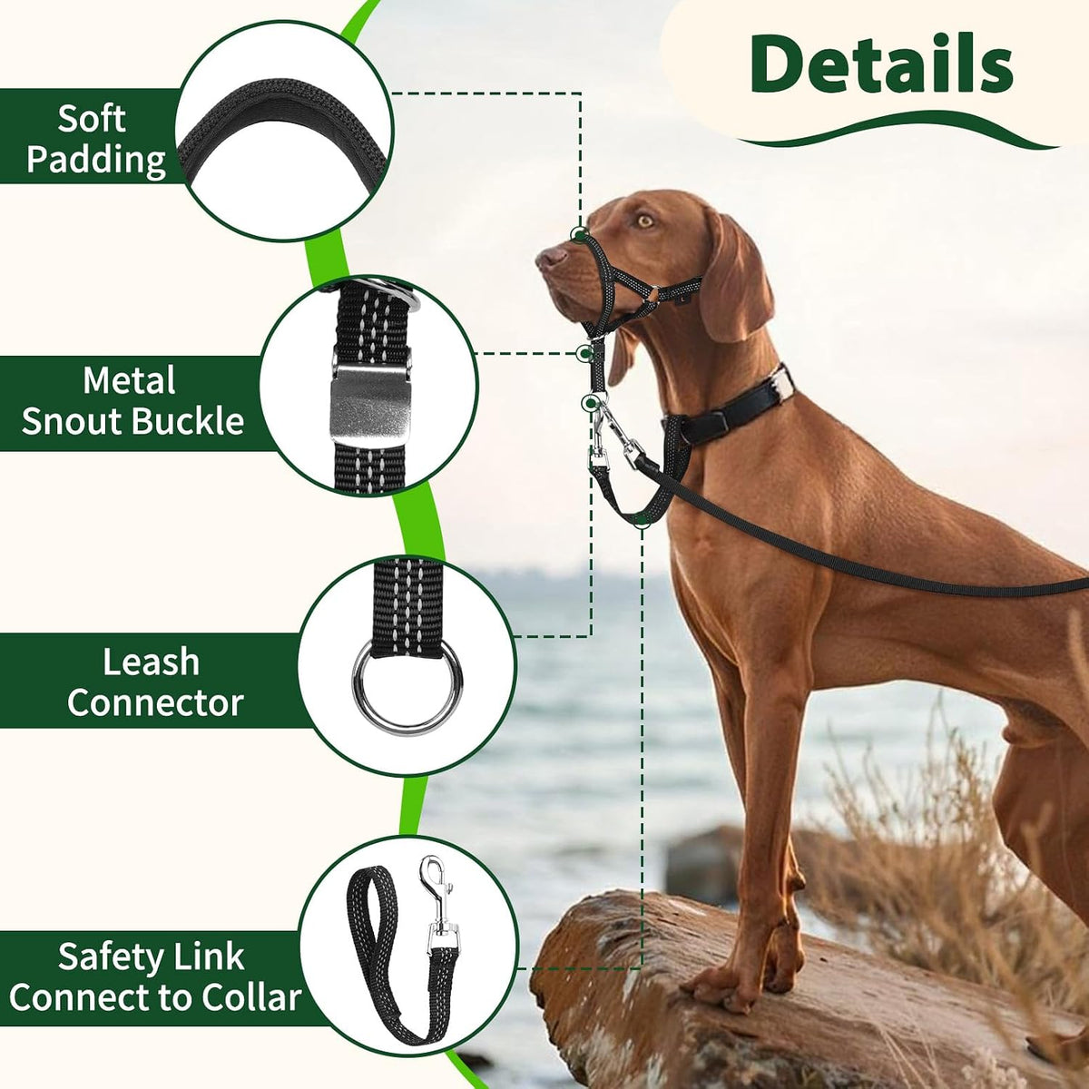 Barkless green padded head collar packaging and included instruction manual view