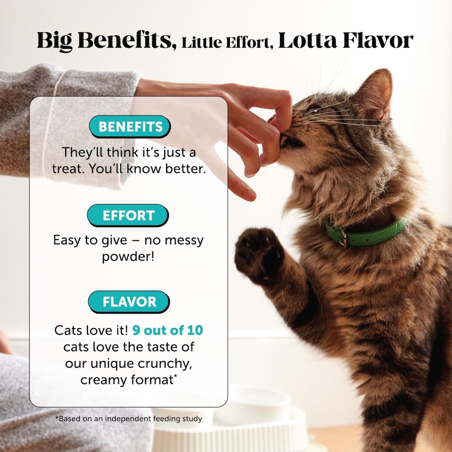 Pet Honesty dual texture cat relaxing supplements for travel and vet visit stress support.