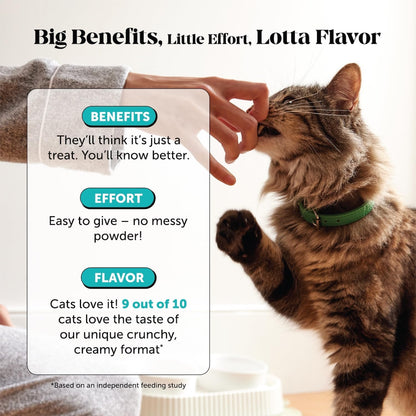 Pet Honesty dual texture cat relaxing supplements for travel and vet visit stress support.