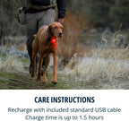 Premium blue LED safety beacon attached to a durable dog harness loop