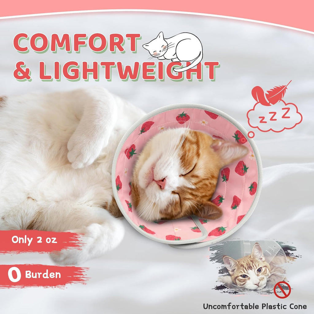 Adjustable strawberry pattern cat recovery collar close up of buckle