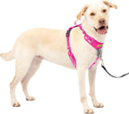 PetSafe Easy Walk Comfort No-Pull Dog Harness Full-Body Padding - Better Walks on the First Use - 5 Points of Adjustment Medium, Blue - Image 13