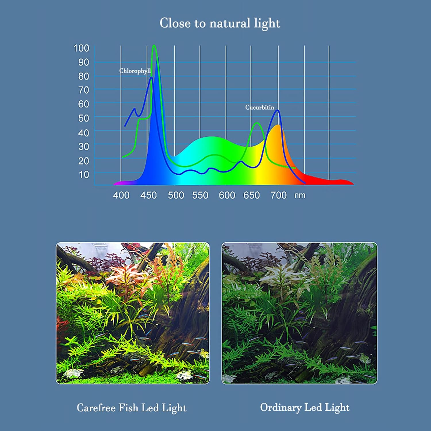 Carefree Fish LED light installed on a small fish tank
