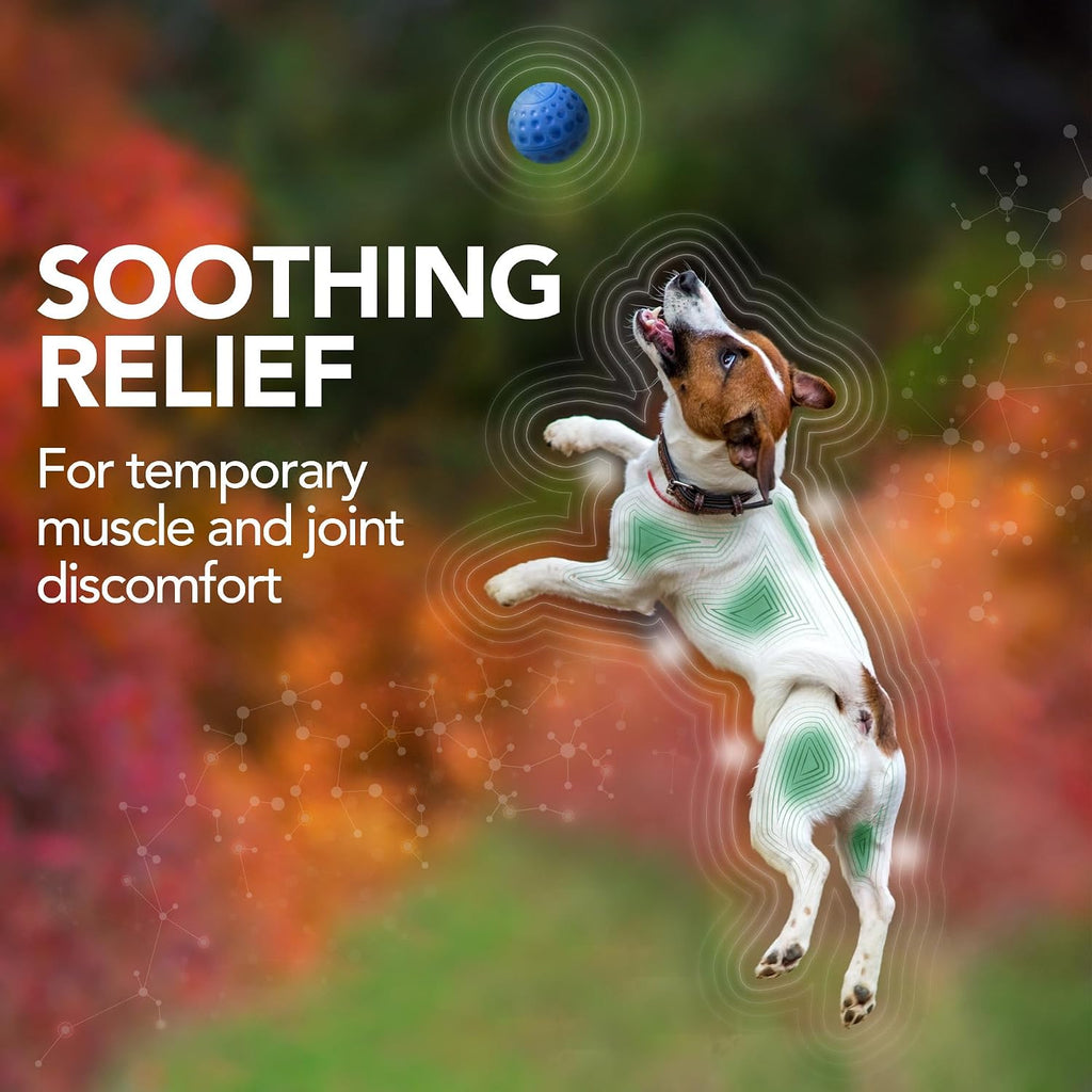 Natural aspirin alternative for dogs bottle side label detailing premium ingredients.