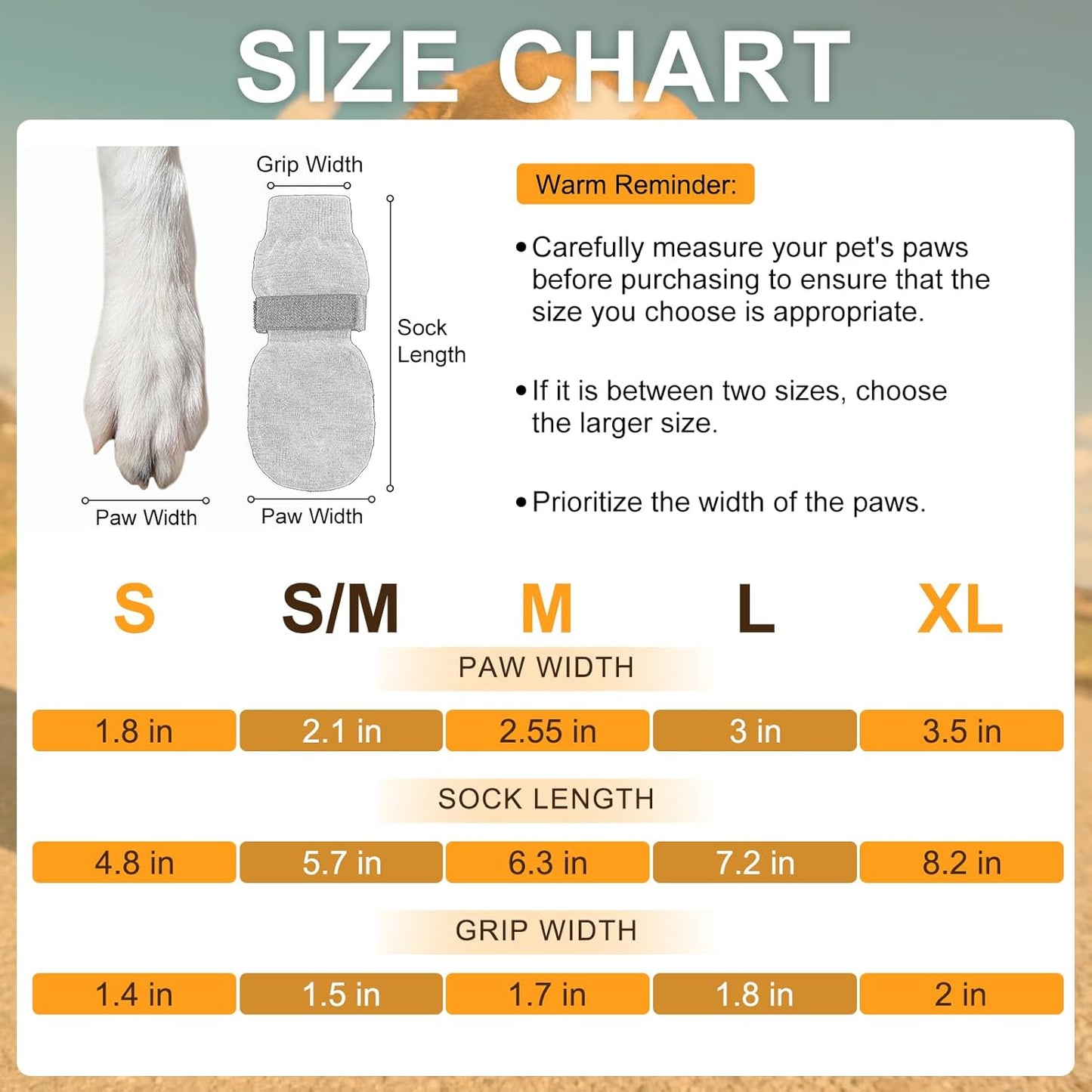 Senior dog walking safely with anti-slip traction socks