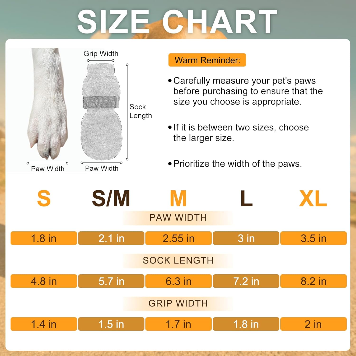 Senior dog walking safely with anti-slip traction socks