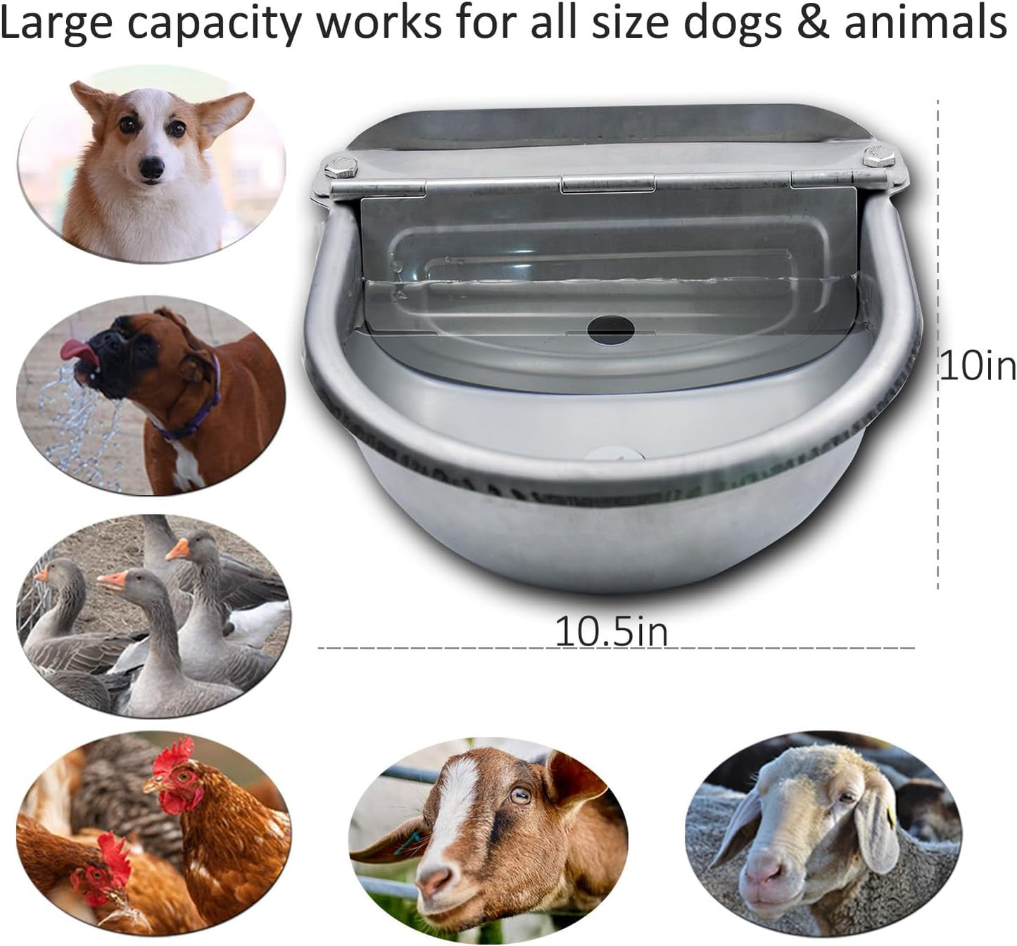 AKUATUZ stainless steel animal drinking bowl highlighting the internal float valve mechanism.