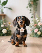 PET SHOW premium imported pet grooming flower charms collection lifestyle angle