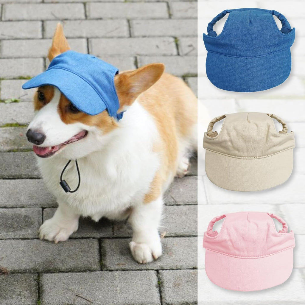 Wyewog pet beach hat worn by medium dog