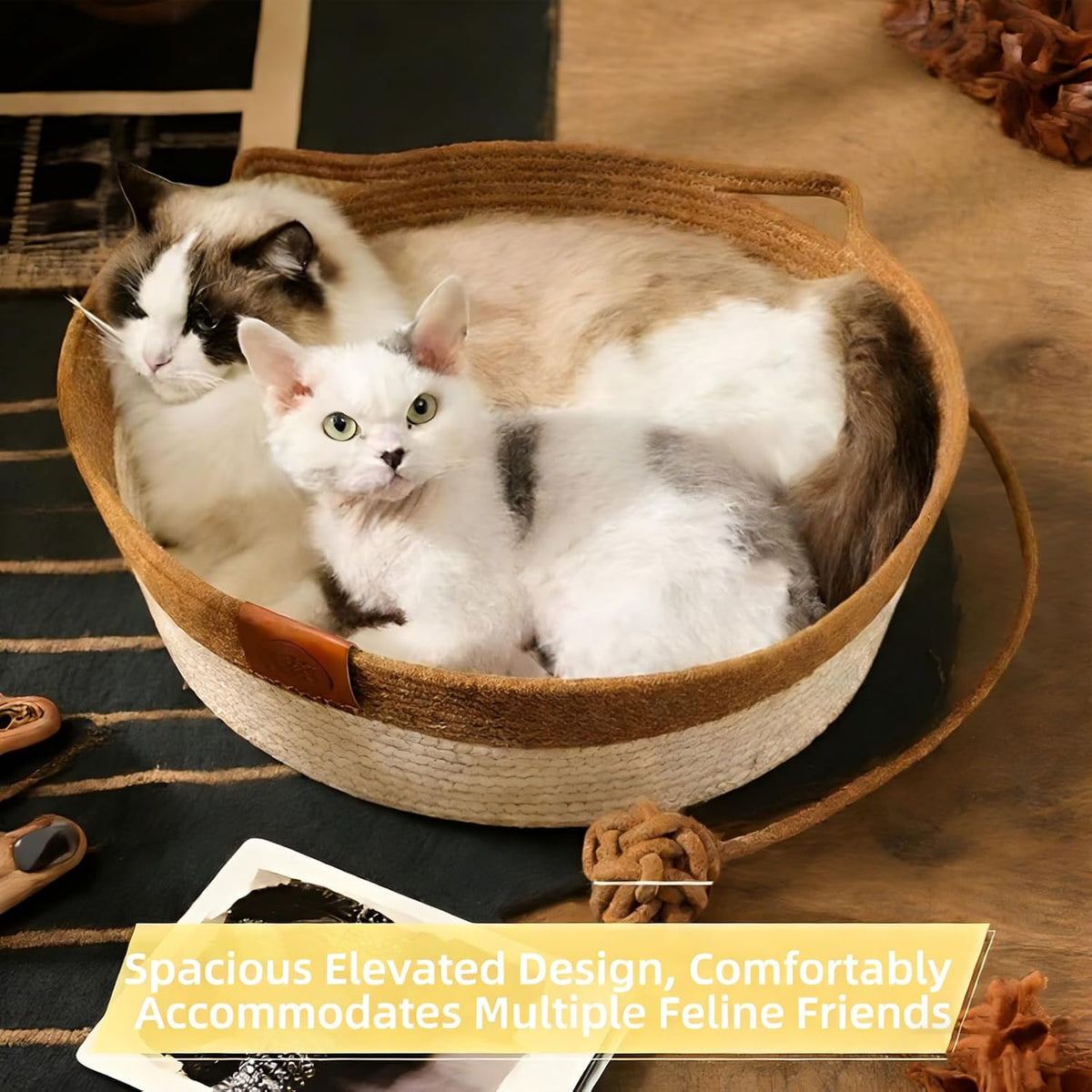 Cat inside boho style cotton rope pet bed