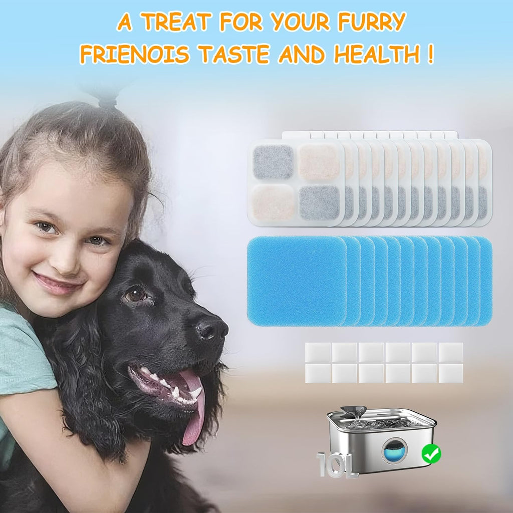 Authentic USA imported pet fountain filter replacement set
