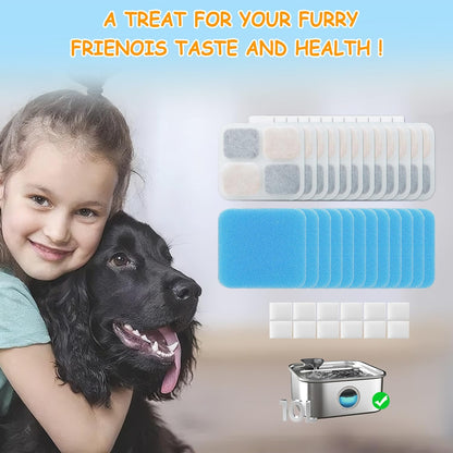 Authentic USA imported pet fountain filter replacement set
