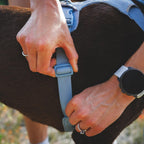 Ruffwear harness back V-ring attachment point
