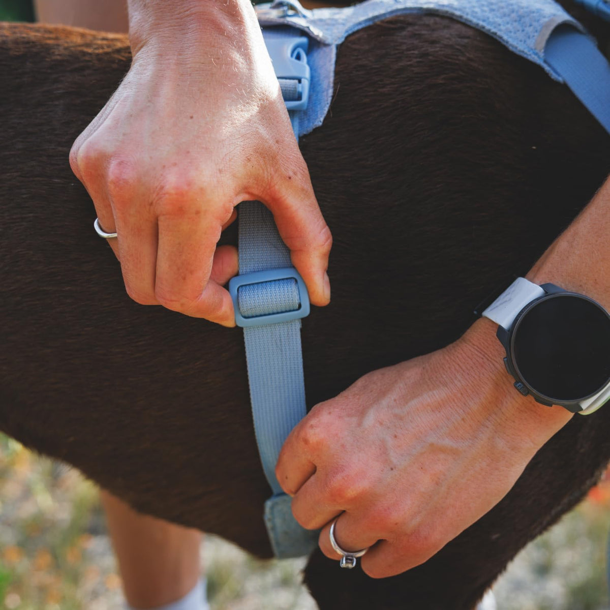 Ruffwear harness back V-ring attachment point
