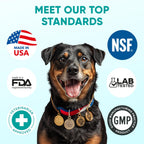 Side view of imported USA dog supplement bottle focusing on the GMP certified facility stamp