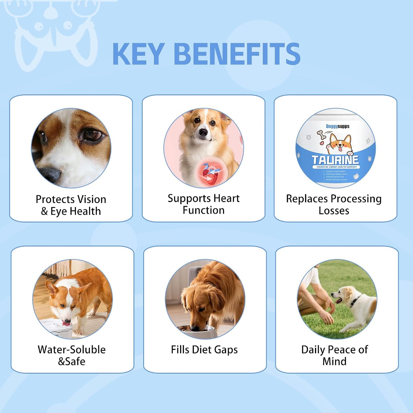 USA imported dog supplement for healthy skin coat and everyday vitality