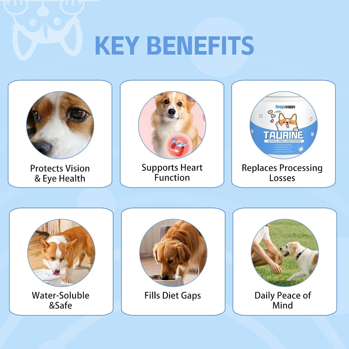 USA imported dog supplement for healthy skin coat and everyday vitality