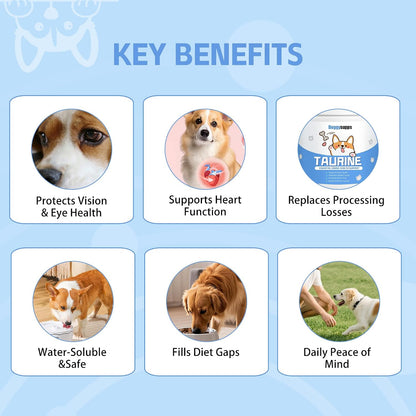 USA imported dog supplement for healthy skin coat and everyday vitality