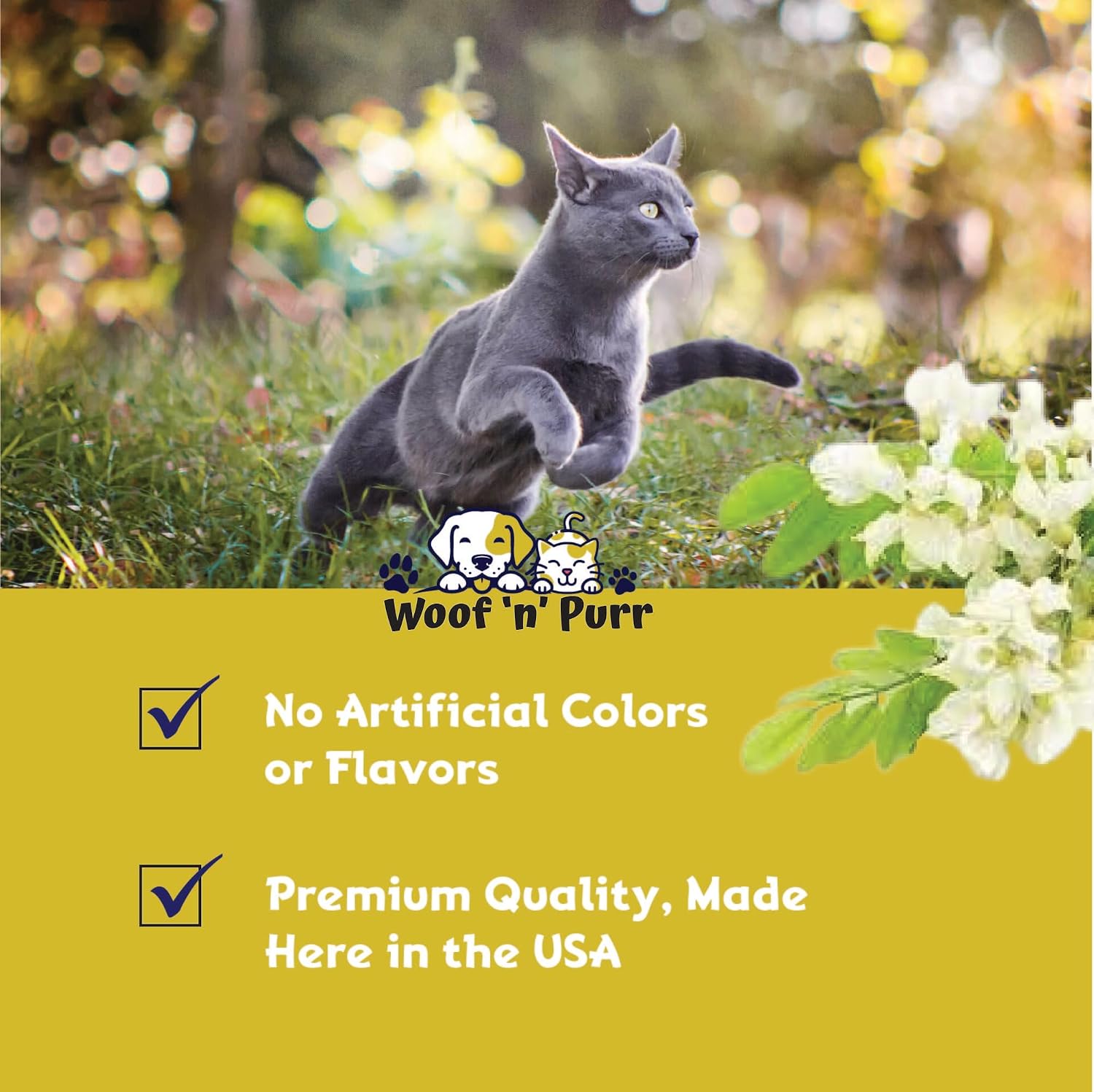 Premium pet supplement for cat hair loss and skin regeneration support.