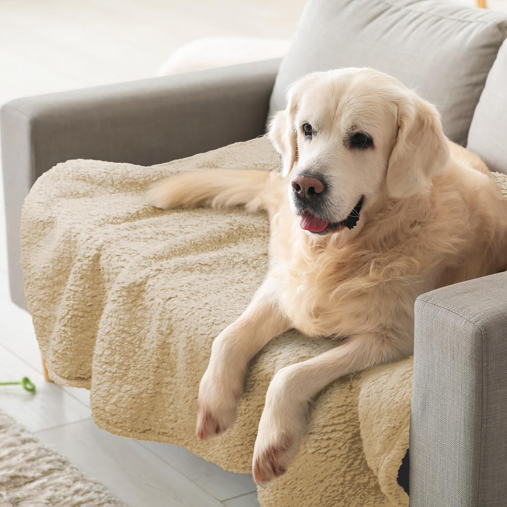 furrybaby Dog Blankets for Small Dogs, Puppy Small Fleece Blankets for Pets, Premium Cat Blanket, Sherpa Pet Blanket Washable for Pet Kitten Doggy (Grey, 24x32 in, S) - Image 9