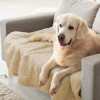 furrybaby Dog Blankets for Small Dogs, Puppy Small Fleece Blankets for Pets, Premium Cat Blanket, Sherpa Pet Blanket Washable for Pet Kitten Doggy (Grey, 24x32 in, S) - Image 9