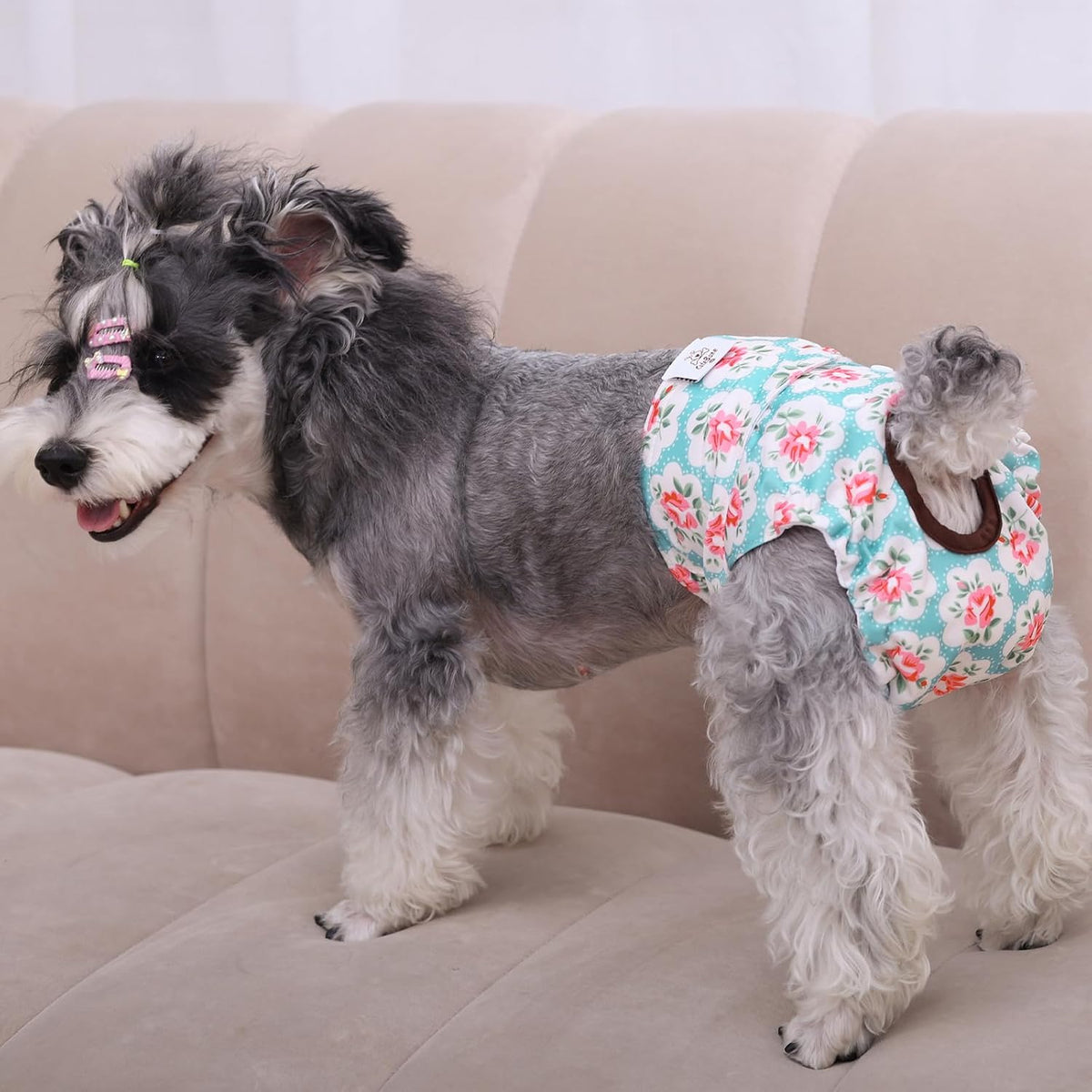 CuteBone female dog heat cycle pants tail hole snap mechanism view