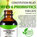 Netwik roast chicken flavored cat laxative liquid supplement for healthy bowel movements.